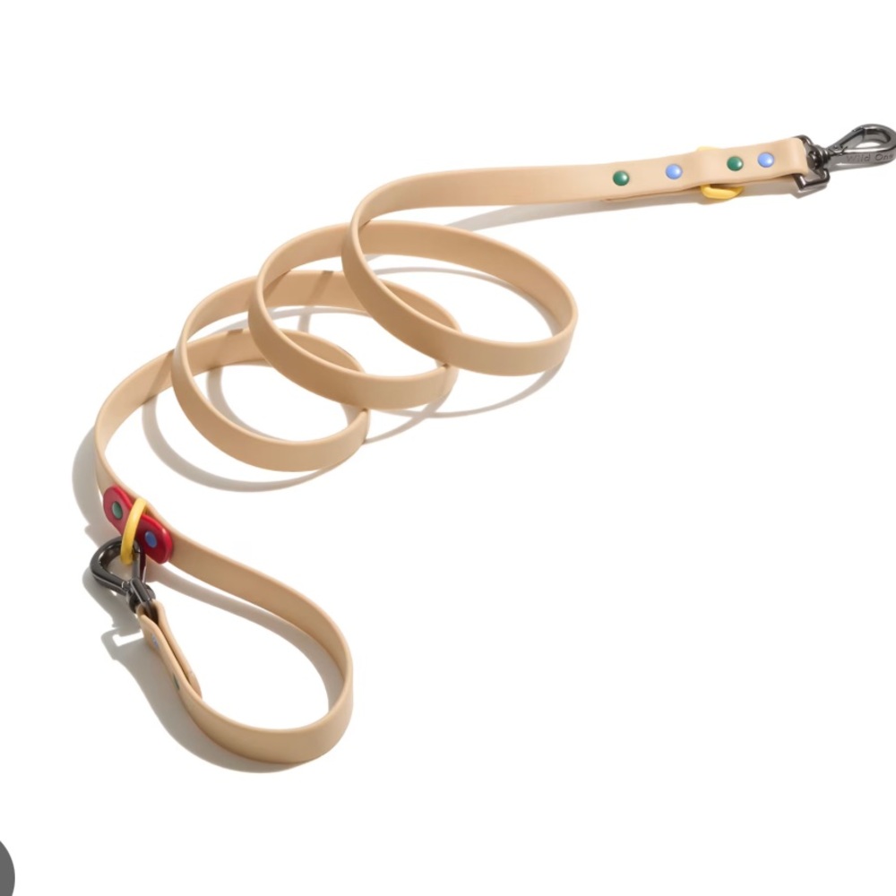 Wild One Waterproof Dog Leash, Retro Colorblock, 5.5 ft. New